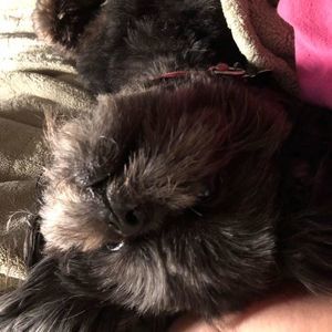 Meet your Posher, Jan